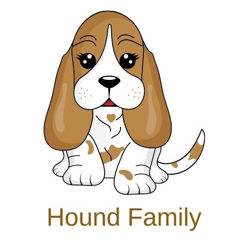 Hound Family logo